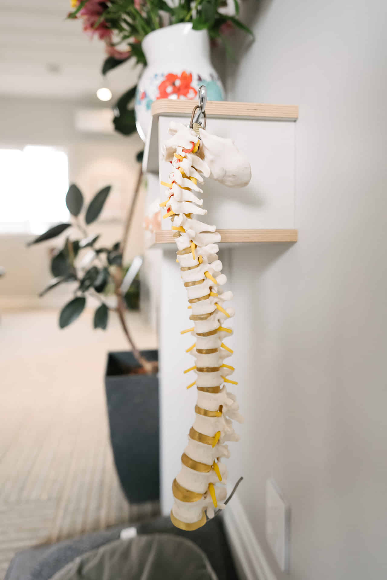 Closeup of Breathe Hyperbaric spinal model